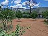 Sahibinden.com