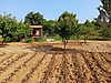 Sahibinden.com