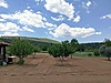 Sahibinden.com