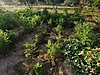 Sahibinden.com