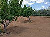 Sahibinden.com