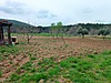 Sahibinden.com