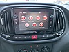 Vasıta / Minivan & Panelvan / Fiat / Doblo Cargo / 1.6 Multijet Maxi Plus