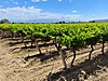 Sahibinden.com