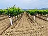 Sahibinden.com