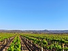 Sahibinden.com