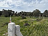 Sahibinden.com