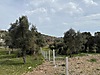 Sahibinden.com