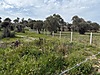 Sahibinden.com