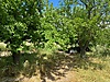 Sahibinden.com