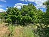 Sahibinden.com