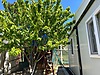 Sahibinden.com