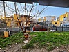 YİĞİTHAN GAYRİMENKUL ÇİFTLİKKÖY FULL EŞYALI SATILIK 1+1 DAİRE - Satılık Daire İlanları sahibinden.com'da