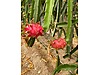 Sahibinden.com