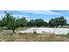Sahibinden.com