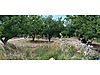Sahibinden.com