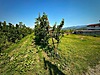 Sahibinden.com