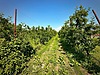 Sahibinden.com