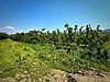 Sahibinden.com