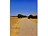 Sahibinden.com