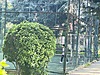 Sahibinden.com