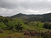 Sahibinden.com