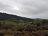 Sahibinden.com