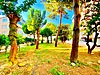 ꔪ REKOR'DAN İKİZÇAY'DA ÖN CEPHE AYRI MUTFAK MANZARALI DUBLEX 6+1 - Satılık Daire İlanları sahibinden.com'da