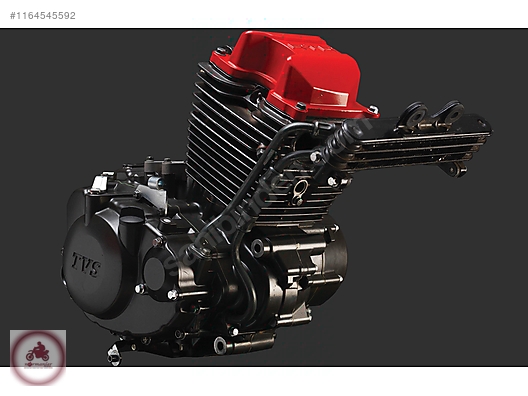 TVS Apache RTR 200 2024 Model Naked Roadster Motor Motosiklet