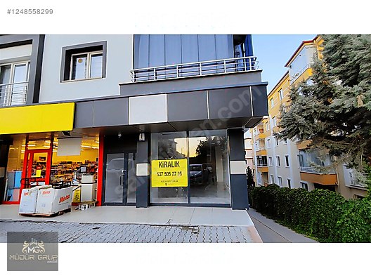 Emlak / İş Yeri / Kiralık / Dükkan & Mağaza