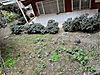 Sahibinden.com
