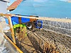 Sahibinden.com