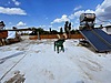 Sahibinden.com