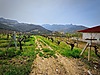 Sahibinden.com