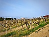 Sahibinden.com