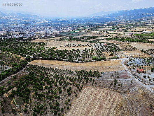 Alp Emlak Tan Kocacik K Y Nde Aydinca Yolu Zer Satilik Tarla