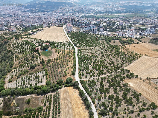 Alp Emlak Tan Kocacik K Y Nde Aydinca Yolu Zer Satilik Tarla