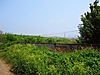 Sahibinden.com