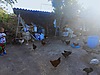 Sahibinden.com