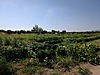 Sahibinden.com