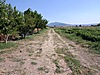 Sahibinden.com