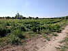 Sahibinden.com