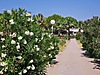 Sahibinden.com