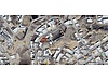 Sahibinden.com