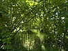 Sahibinden.com