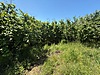 Sahibinden.com
