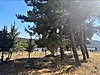 Satılık Arsa
