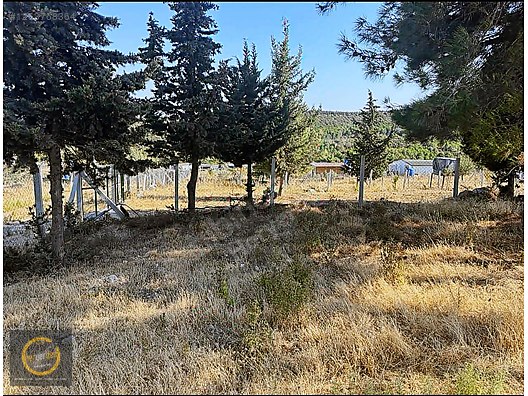 Tarla imarlı arsa