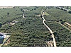 Sahibinden.com