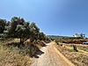 Satılık Arsa İlanları